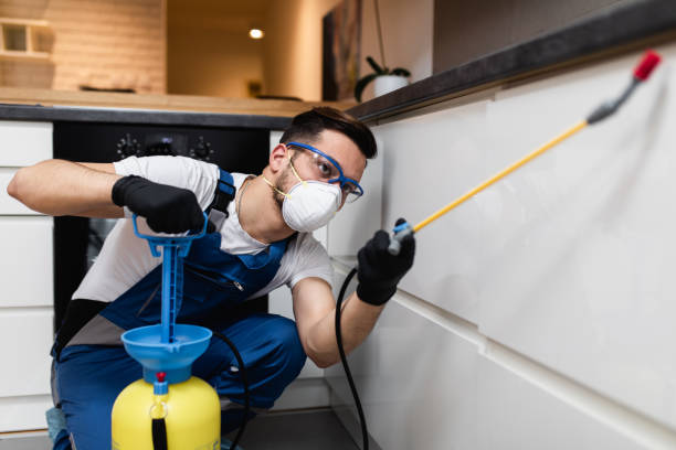 Best Affordable Pest Control Services  in Pecan Grove, TX