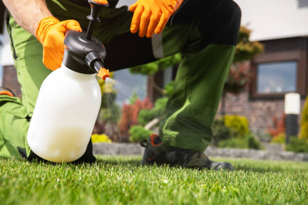 Best Best Pest Control Companies  in Pecan Grove, TX
