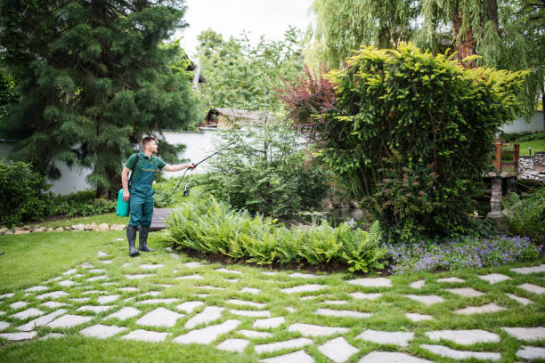 Best Pest Control Cost  in Pecan Grove, TX